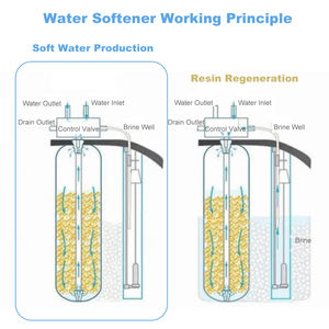 Technologie Autosense Économie de Sel et d'Eau 18,5x7,8x16,3 Pouces 8,5kg Régénération d'Eau Douce pour Toute la Maison - Product Image 6