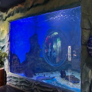 <span class=keywords><strong>Ocean</strong></span> Park Grand <span class=keywords><strong>Aquarium</strong></span> Personnalisé Clair Carré Grand <span class=keywords><strong>Aquarium</strong></span> Acrylique Lucite Acrylique Fish Tank - Product Image 3