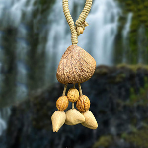 도매 맞춤형 천연 핸드 쉐이커 판기 차차 벨리릭 씨앗 껍질 쉐이커 너트쉘 타악기 - Product Image 6