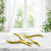 Ensemble de pinces professionnelles pour extensions de cheveux, revêtement arc-en-ciel, dents courbées, acier inoxydable durable, emballage personnalisé