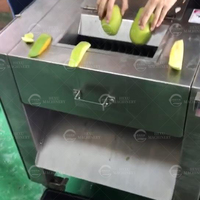 Rauwe mango groenteverwerkings-snijmachine SUS304 roestvrijstalen motor voor bakkerij fruitverwerking meelfabriek 220V/380V