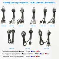 Chargeur de téléphone miniature B2B qui brille dans le noir, porte-clés USB/Type-C/impression de logo OEM, offres en gros pour imprimante promotionnelle, ordinateur, pas cher
