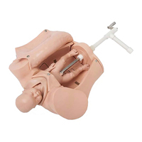 Modelo de Entrenamiento Ginecológico Avanzado, Simulador de Parto Manual para Enseñanza Médica