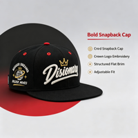 Casquette Snapback Noire Structurée Broderie Logo Personnalisé 6 Panneaux Coton pour Hommes Femmes Hip Hop Streetwear