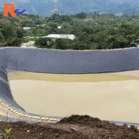 Géomembrane HDPE de 0,3 mm à 3 mm, HDPE LDPE LLDPE PVC EPDM, revêtement pour bassin à poissons, revêtement pour barrage en Afrique du Sud