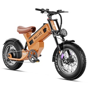 Vélo électrique tout-terrain R60C avec pneus larges de 20 pouces et batterie au lithium, en stock aux États-Unis - Product Image 1