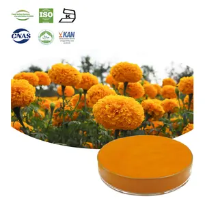 Marigold Flower Extract Lutein 20% Oil Food Grade 5% 10% Lutein Powder