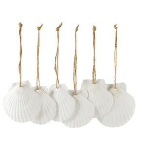 Grands coquillages blancs naturels pour la décoration de mariage de <span class=keywords><strong>plage</strong></span> Fournitures d'artisanat en vrac DIY Home Ocean Theme Decoration Shell - Product Image 2