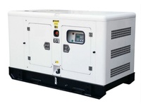 Générateur Super Silencieux 300 kW à Faible Bruit 480 V 50/60 Hz pour le Marché Européen, Utilisation Domestique avec Compatibilité Électromagnétique