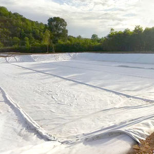 Tessuto geotessile non tessuto Spunbond in fibra di Design industriale rotola Anti-invecchiamento materiale PET e polipropilene - Product Image 2