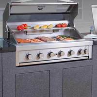 Cuisine extérieure portable de conception commerciale en acier inoxydable 304, armoire de cuisine extérieure complète pour la maison et le jardin