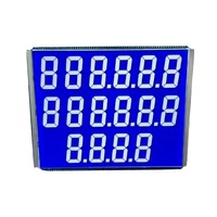 Produsen LCD Monokrom menyesuaikan layar LCD 7 segmen 4 digit TN STN FSTN VA untuk modul layar LCD dispenser bahan bakar