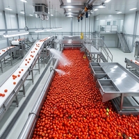 Hoge capaciteit tomatensaus productielijn, tomatenpuree verwerkings- en snijmachine, tomatenconservenmachine
