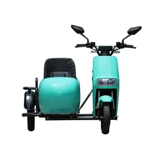 High quality 800w side scooter cargo passenger 3 wheel electric cargo 2 adults electric tricycles