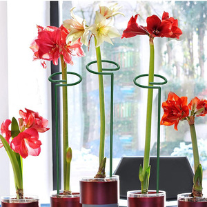Hot Sale Garden Single Stem Plant <strong>Flower</strong> <strong>Support</strong> Ring Frame for Orchid Peony Lily Roseb Plant <strong>Support</strong> Stakes - Product Image 6