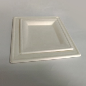 Vente en gros Assiette carrée en pâte à papier biodégradable et compostable écologique - Product Image 2