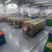 HXJ Automatische Motor Aardappel Wortel Gember Schil- en Wasmachine met Rolborstel