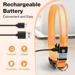 Collier de chien en nylon de luxe avec LED, sécurité nocturne, clignotant, lumineux, motif solide, accessoire lumineux fluorescent - Product Image 3