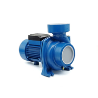 Pompe à eau solaire de surface AC DC 3000w à débit principal à haute pression de 5 pouces pour l'irrigation