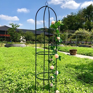 Support <span class=keywords><strong>pour</strong></span> <span class=keywords><strong>plantes</strong></span> de décoration de jardin support de pilier d'arboretum grimpant - Product Image 2