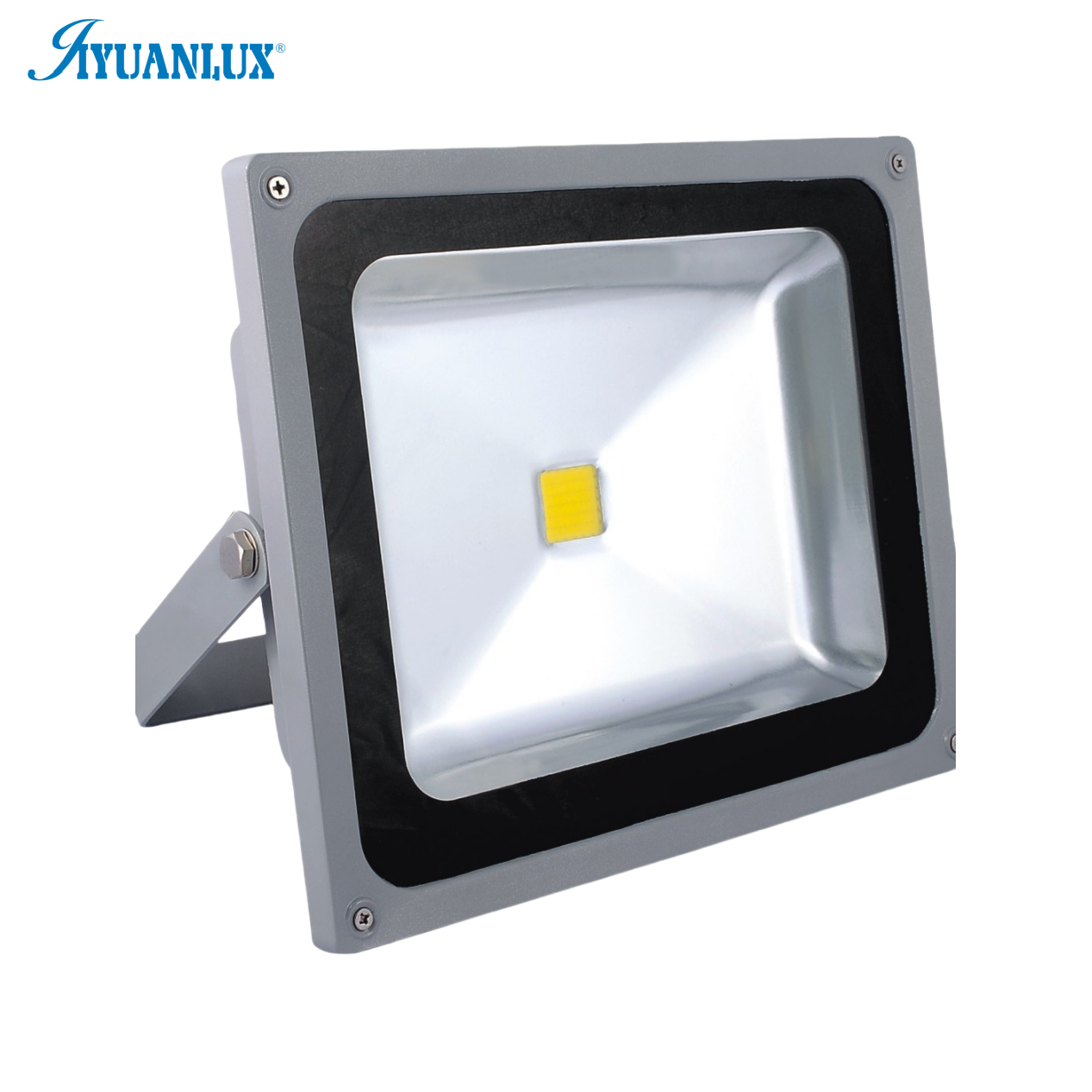 RGb Led Spotlight 10W 20W 30W 50W RGB Led Floodlight Waterproof IP65 Reflector De 12v Led Flood Lamp