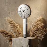Accessoires de douche TM-2402, pomme de douche à effet pluie, plastique ABS chromé, économie d'eau, nouvelle pomme de douche