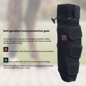 Ingrosso Gel Terapia Infortuni per Cavalli di Raffreddamento Gambe Stivali Ghiaccio per Piedi e Gambe Protezione Pacco di Ghiaccio - Product Image 6