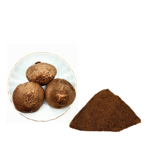 Extrait de champignon <span class=keywords><strong>Shiitake</strong></span> de haute qualité en poudre, polysaccharides hydrosolubles à 30 % pour complément alimentaire OEM - Product Image 1