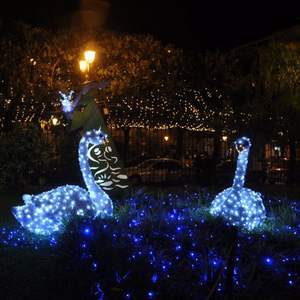 3D Outdoor Led Animal Figure Sculptures Dolphin <strong>Tiger</strong> and Bear <strong>Motif</strong> Lights for Christmas Decoration - Product Image 6