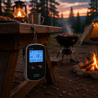 Détecteur de gaz CO sans fil, affichage du niveau de CO maximal de 999 ppm, batterie rechargeable avec alarme sonore pour le camping en plein air / les tentes