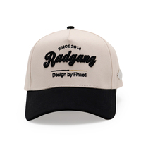 Gorras con Logotipo Bordado en Relieve Personalizado, Gorras de Béisbol Bordadas en Dos Tonos en 3D
