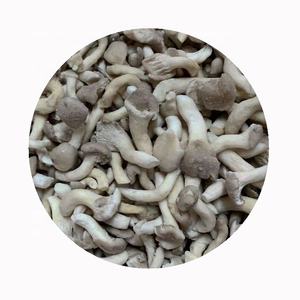 Makanan makanan ringan sehat Tiongkok vakum jamur tiram kering jumlah besar <span class=keywords><strong>OKRA</strong></span> kemasan Harga Bagus Untuk pembeli - Product Image 4