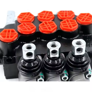 Válvula selectora hidráulica manual de 3 vías Capacidades OEM/ODM: Personalice sus válvulas direccionales de la máquina de selección hidráulica de la mano de la máquina, 1 de 2 vías - Product Image 4