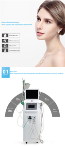 Dispositivo de Belleza Hidra-Oxígeno No Invasivo para Mejorar la Piel Opaca, Controlar la Grasa y Tratamiento Facial Antienvejecimiento - Product Image 3