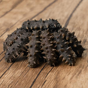 Pepino-do-mar Semi-seco de Alta Qualidade 1000g, Validade de 18 Meses, Atacado a Granel e Envio Rápido - Product Image 2