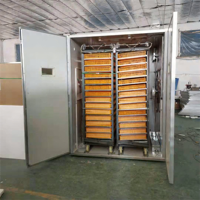 Incubateurs à œufs de haute qualité et incubateur à œufs automatique avec vente directe d'usine pour les élevages avicoles