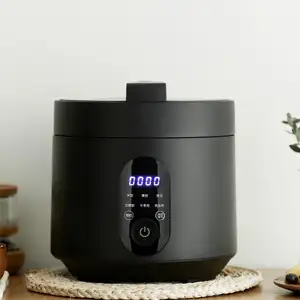 Home Appliance 3L Electrical Multi Cooker Multifunctional Soup Rice Cooker Electric Pressure Cookers