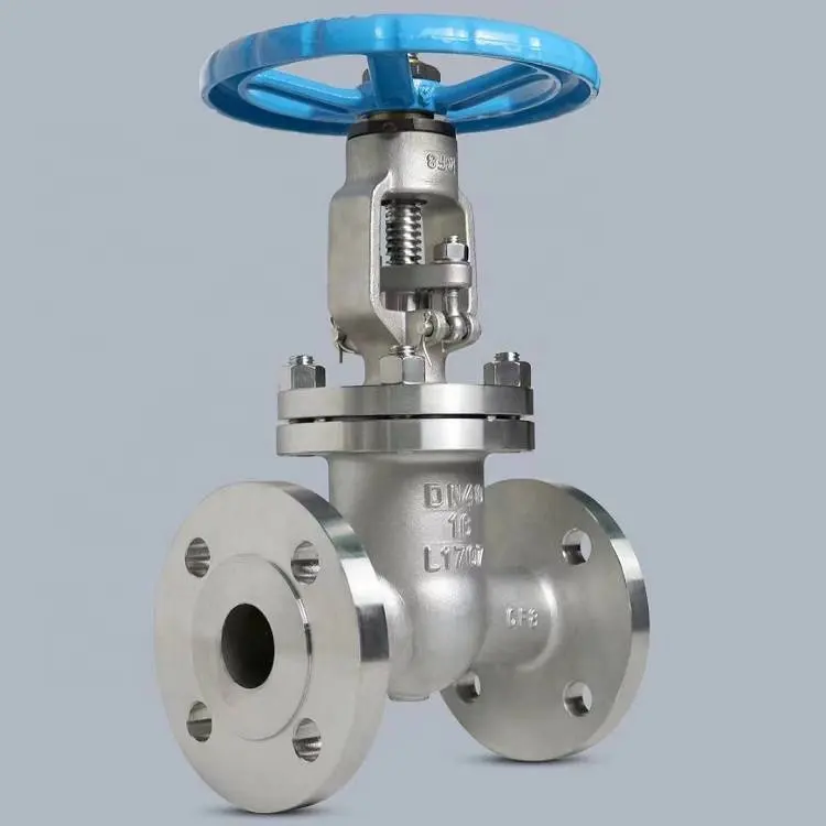 High Quality 1 1 /4' Ss304 Stainless Steel Soft Seal Gate Valve Prices Flange Gate Valve