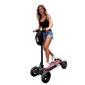 Trottinette électrique à quatre roues ZEBRA-SKB09 en alliage d'aluminium pliable, autonomie de 25-35 km, vitesse maximale de 18 km/h+, pour la marche en ville et les promenades avec le chien - Product Image 1