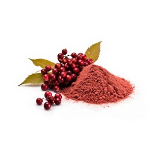 Extracto Herbal de Arándano Rojo en Polvo Seco de Alta Pureza (Extraído con Solvente) con Perfil Intenso de Bayas, Grado Cosmético, para Mezclas de Bebidas - Product Image 1
