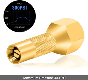 Buse de <span class=keywords><strong>gonflage</strong></span> de <span class=keywords><strong>pneu</strong></span> <span class=keywords><strong>à</strong></span> <span class=keywords><strong>visser</strong></span> en laiton pour - Product Image 3
