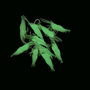 Esclusivo OEM: <span class=keywords><strong>Esca</strong></span> <span class=keywords><strong>Artificiale</strong></span> Morbida Luminosa da 4cm, 10 Pezzi <span class=keywords><strong>in</strong></span> Scatola, a Forma di Gamberetto, <span class=keywords><strong>con</strong></span> Odore di Pesce, <span class=keywords><strong>in</strong></span> PVC, <span class=keywords><strong>con</strong></span> Amo, per la <span class=keywords><strong>Pesca</strong></span> <span class=keywords><strong>in</strong></span> <span class=keywords><strong>Mare</strong></span> - Product Image 2