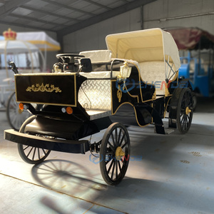 Calèches de mariage haut de gamme noires pour loisirs et événements, personnalisables en couleurs, pour visites touristiques sans chevaux - Product Image 4