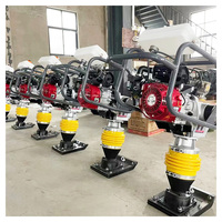 Prix usine Chine Haute qualité Facile à utiliser Moteur essence 3Kw Haute efficacité Compacteur vibrant pneumatique