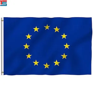 Ready to ship factory price 100% polyester printed Euro Union national Flag