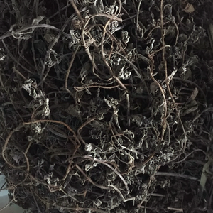 PRODUIT DE GELÉE D'HERBE DE MEILLEURE QUALITÉ DE L'EXPORTATEUR FIABLE/Shyn Tran - Product Image 1