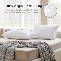 Oreillers fermes de haute qualité, 5 étoiles, taille Standard, coussin pour hôtel, nouveau modèle