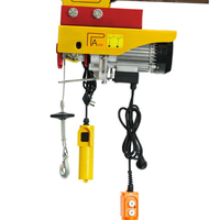 Monte-charge électrique 100kg, Mini-corde métallique portable, avec télécommande