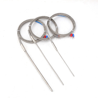 Termopar Blindado Tipo K YHKJ WRNK-191, Sensor de Temperatura de Sonda, Termorresistencia PT100/E/J