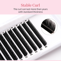 Nouveautés Extensions de cils naturelles longues 6-8mm LJ LB LC pour extensions de cils faites à la main, plateaux de cils noirs mats doux Camellia